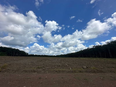 Chủ cần bán gấp đất nền 1100m2 tại xã Tân Lợi, Đồng Phú, 400 triệu,.