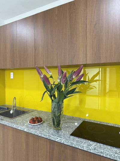 Cho Thuê Căn Hộ Duplex 230m2 Tại Central Premium Q8 Mới 100%