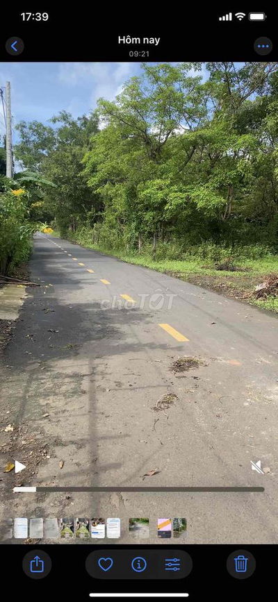 Đất sổ hồng 2300m2 ngay Tỉnh lộ 328 mới  Xã Hồ Tràm TPHCM