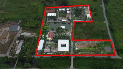 Bán nhà vườn nhiều cây ăn trái giá bán 100 tỷ