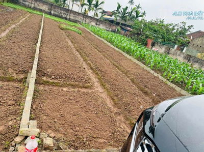 Trục chính Tân Dân. 128m Bãi sậy 2. Chỉ với 32tr/m. Đường 3 oto tránh. Sát khu đấu giá hot