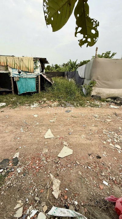 Bán Đất Vườn, 5x29m=145m2, Vĩnh Lộc B, Bình Chánh có sẵn chồi giữ vườn