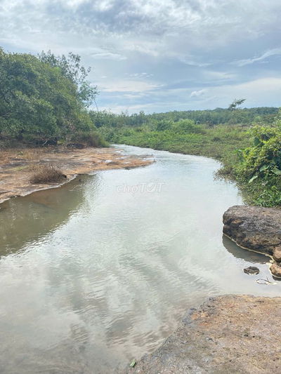 bán đất nông trại resrost nghỉ dưỡng, đã tách được nhiều lô