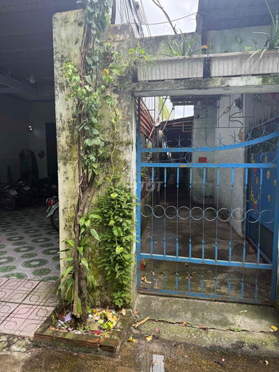 Bán đất Sát trường Đại Học Bách Khoa 226m2