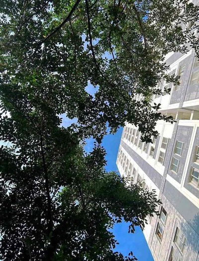 TÌM GẤP NỮ Ở GHÉP CĂN HỘ DREAMHOME LUXURY, GÒ VẤP