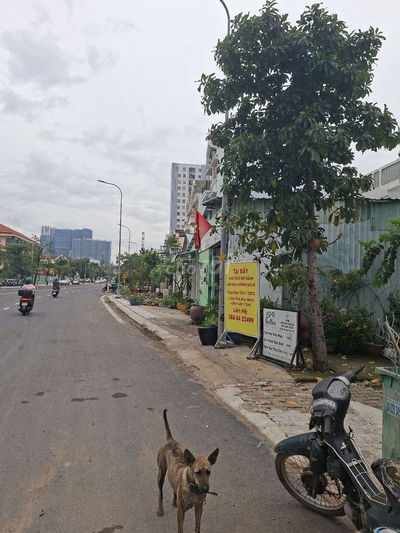 Cho Thuê Nhà và Mặt bằng kinh doanh