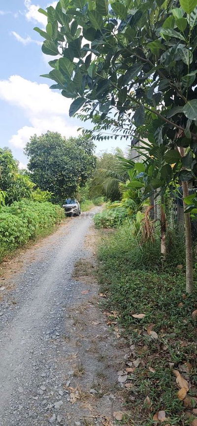 Bán 500 m2 đất vườn Bến Lức Long An