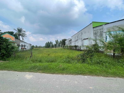 500m2 ĐẤT THỔ CƯ ĐƯỜNG CÂY TRÔM MỸ KHÁNH GIÁ CHỈ 5tr/m2