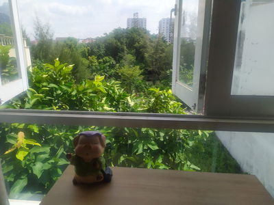 Phòng trọ cho nữ sinh viên, NVVP, Khu biệt thự, giá 3,5 triệu/tháng