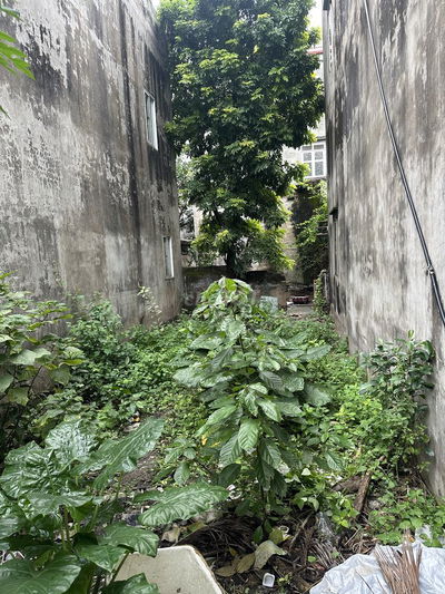 Chính chủ gửi bán 33m2 chợ bưởi, võ chí công, Hoàng Quốc Việt