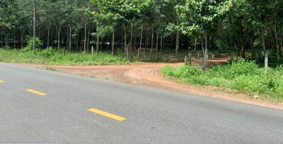 Bán Đất Ở Mặt Tiền Đường DH 519