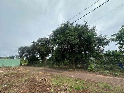 Bán vườn trái cây hàng gòn long khánh cách sân bay long thành 20 phút