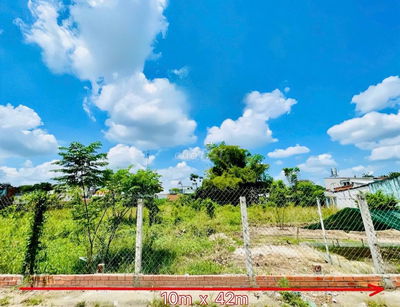 Đất mặt tiền kinh doanh 10m ngay chợ Việt Kiều, Củ Chi. DT (10x42)