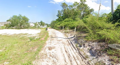 Bán đất thanh long giá rẻ - Tân Tiến, La Gi