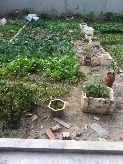 HÀNG MỀM, 30M2 ĐẤT PHÚC LỢI, LONG BIÊN, GIÁ CỰC TỐT