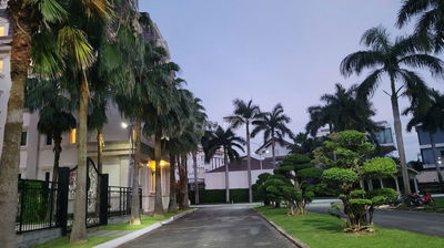 Khuôn Đất 14x27 (354m2) ngay Trần Não, XD Hầm 7 Tầng, An Khánh Quận 2