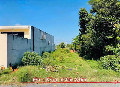 Mặt Tiền Kinh Doanh đường nhựa 8m Thị Trấn Củ Chi 273m2 Sổ Hồng Riêng