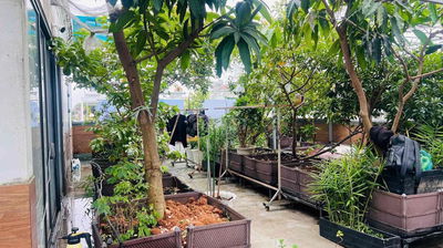 ✨ BÁN CẶP NHÀ CAO CẤP KHU D2D – VÕ THỊ SÁU, P. THỐNG NHẤT, BIÊN HÒA ✨