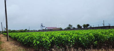 ĐẤT ĐẸP GIÁ CỰC NGỘP HẺM TẢN ĐÀ BẢO LỘC