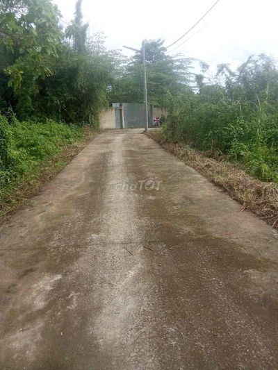 Đất Cây Lâu Năm Hẻm nguyễn văn trường