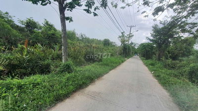 Bán 960m2 đất thổ cư mặt tiền đường Liên Ấp 2-3, Hiệp Phước, Nhà Bè
