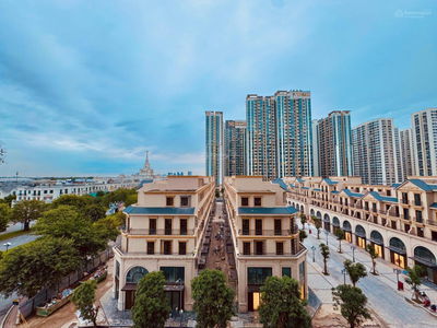 Bán gấp căn hộ 1N+ Masteri Giá rẻ View Uni đang cho thuê 10,5tr/ tháng ở Vinhome Oceanpark 1.