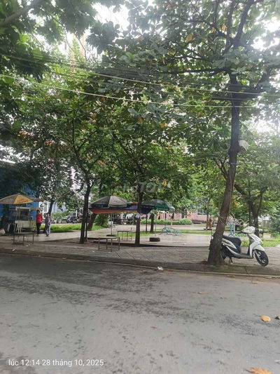 🏡 Bán nhà hẻm xe hơi đường Bùi Minh Trực P5 Q8