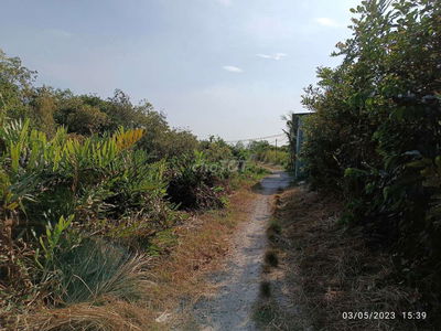 Bán Đất Quận 9 cũ, đường Tam Đa