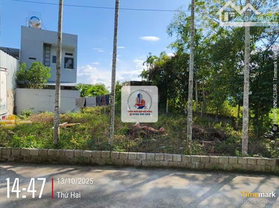 🌊 ĐẤT ĐẸP HÒA XUÂN 219M² – NGANG 13.5M NỞ HẬU – FULL THỔ CƯ, Ô TÔ ĐỖ CỬA – CHỈ 3.5 TỶ 🌊