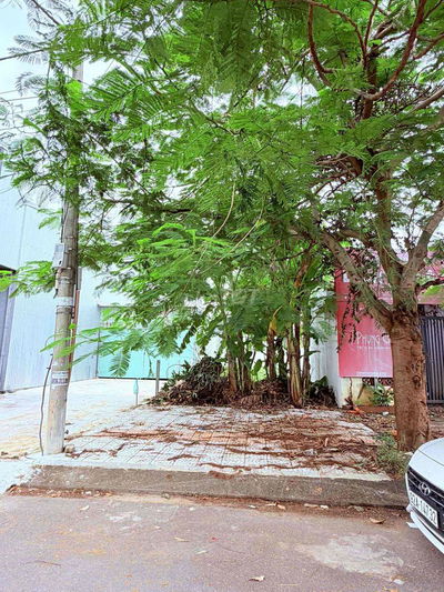 Bán đất Văn Tiến Dũng đường 10.5m sát góc Trần Quốc Thảo nam Cẩm Lệ Ho