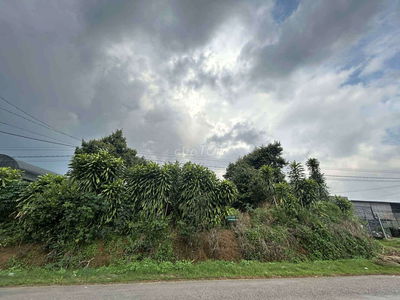 Chủ ngộp cần bán đất trả nợ