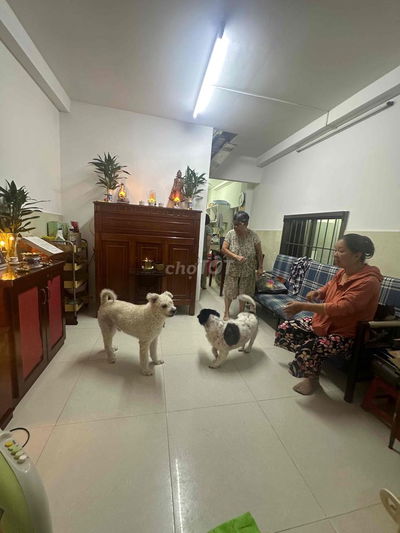 Cho Thuê Nhà Cách Mặt Tiền 1 Căn Đường Nguyễn Cửu Vân- Giá 10tr