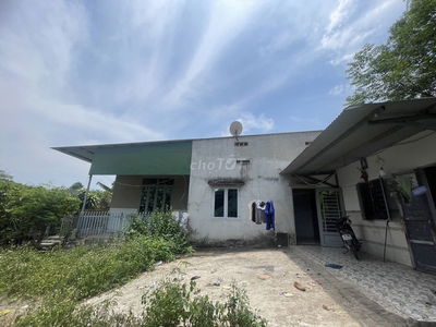 🌿 BÁN NHÀ VƯỜN – TRANG TRẠI SIÊU RỘNG 11.000m² – CHỈ 4.8 TỶ (436K/m²)