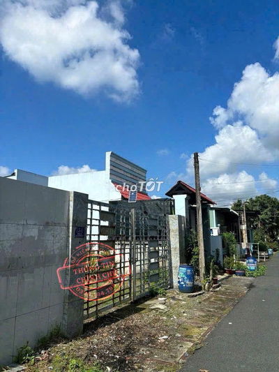 ✅BÁN GẤP LÔ MẶT TIỀN ĐƯỜNG NHỰA TÂN THÔNG HỘI CỦ CHI 343M2 480TR SHR