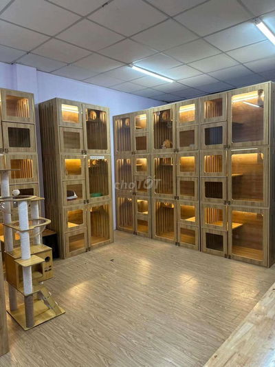 Sang mặt bằng đường Thống Nhất