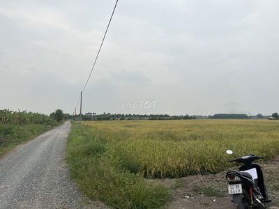 Bán đất đường Kênh 10 ngay Vành Đai 3, Lê Minh Xuân ( 3ha )