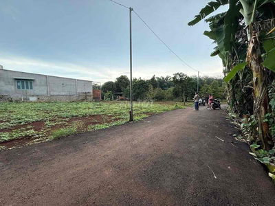 Đất Long Phước, hẻm nhựa xe hơi, ngay sau chợ Long Phước