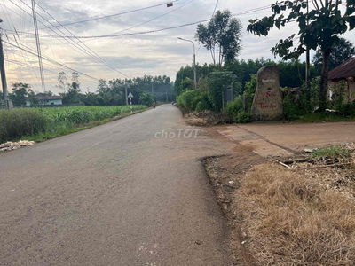 mặt tiền nhựa ngang 135m tổng 2.3 hecta ở xã suối nho sẵn 300 thổ