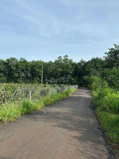 Thanh lý gấp đất xã Hòa Bình xuyên mộc brvt