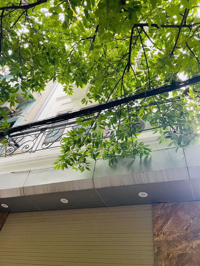 Tam Trinh 60m2, Oto Đỗ Cửa, View Hồ Lộng Gió, Đẳng Cấp Thượng Lưu