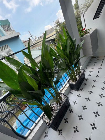 Bán nhà hẽm xe hơi đường số 12, giá 5,95 tỷ