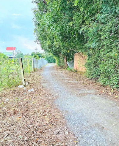 Hàng thơm, còn 1 nền 99.8m2 đất thổ cư đường xe hơi mỹ lộc, 800tr