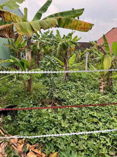 bán đất nền đường Tân Hiệp 16 thuộc Phú Giáo cũ, nay là TPHCM,