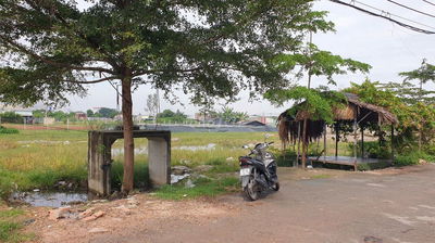 HOT- Bán gấp lô đất DT 510m2 (12x42) đường 6m, gần chợ Bà Điểm