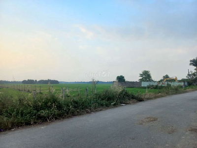 ĐẤT MT 8000M2 XE CONTAINER CHẠY VI VU, GIÁ RẺ NHẤT KHU VỰC