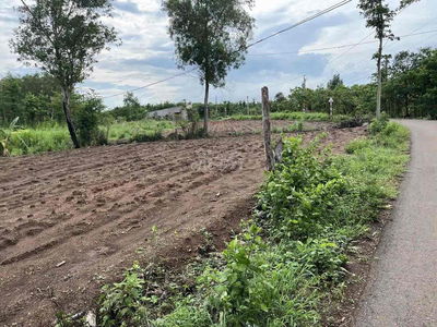 Diện tích 120,1 m2