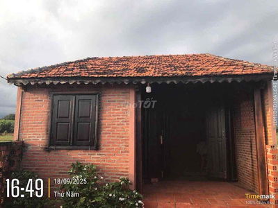 Thửa 420 tờ 48  Địa chỉ: xã Láng Dài, huyện đất Đỏ, tỉnh Bà Rịa Vũng T