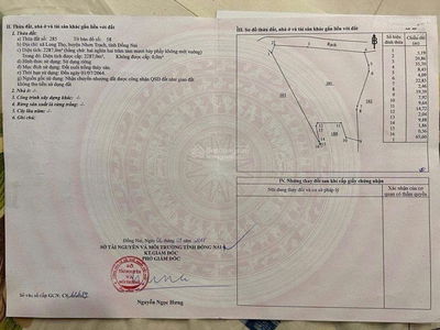 Bán đất mặt tiền đường Trường Chinh - kết nối trực tiếp Cảng Phước An, Xã Long Thọ - Nhơn Trạch