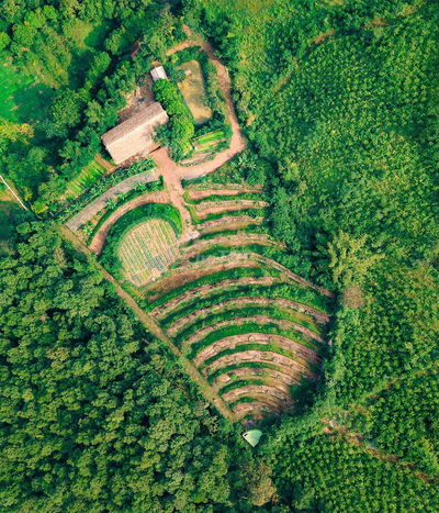 🌿Vườn Sinh Thái Cao Cấp, Nơi An Yên Bên Dòng Suối Thiên Nhiên Đồng nai