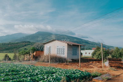 🌿 Trốn Khói Bụi, Sở Hữu Mảnh Vườn Xanh Chỉ 990TR– Cách Sài Gòn 1h15’